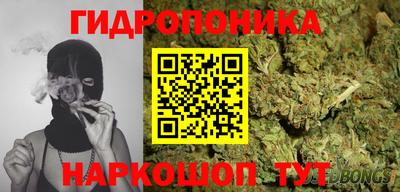 прущие крисы Пенза