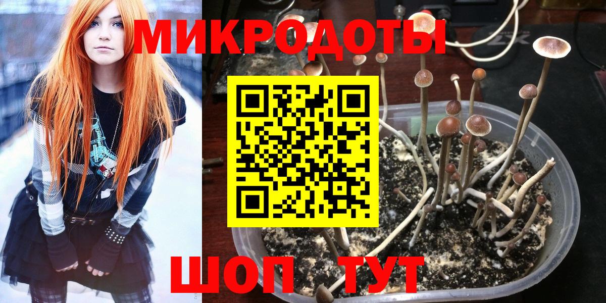 Галлюциногенные грибы прущие грибы  Вход с VPN  Астрахань 